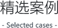 精选案例